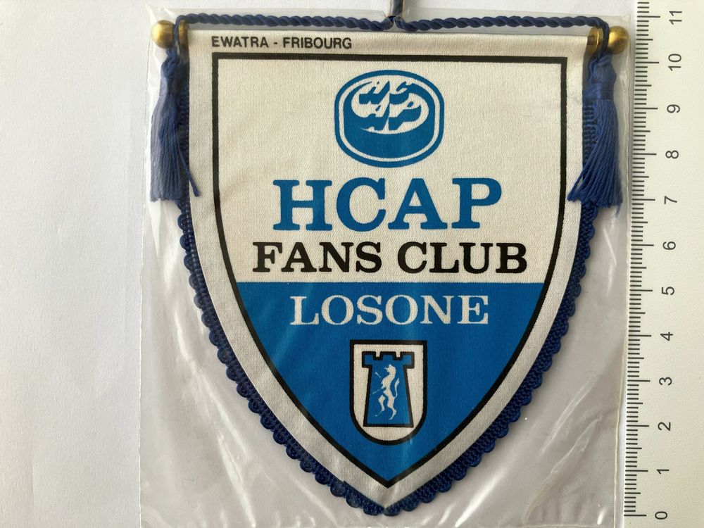 Fanion FC Zurich – Fanclub, Bleu-blanc, Années 70, 2 Variantes, Occasion