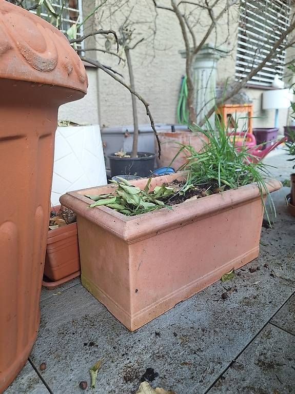 Vasi per fiori: Blumentopf – Usato da Madiswil venduto da Oleander2