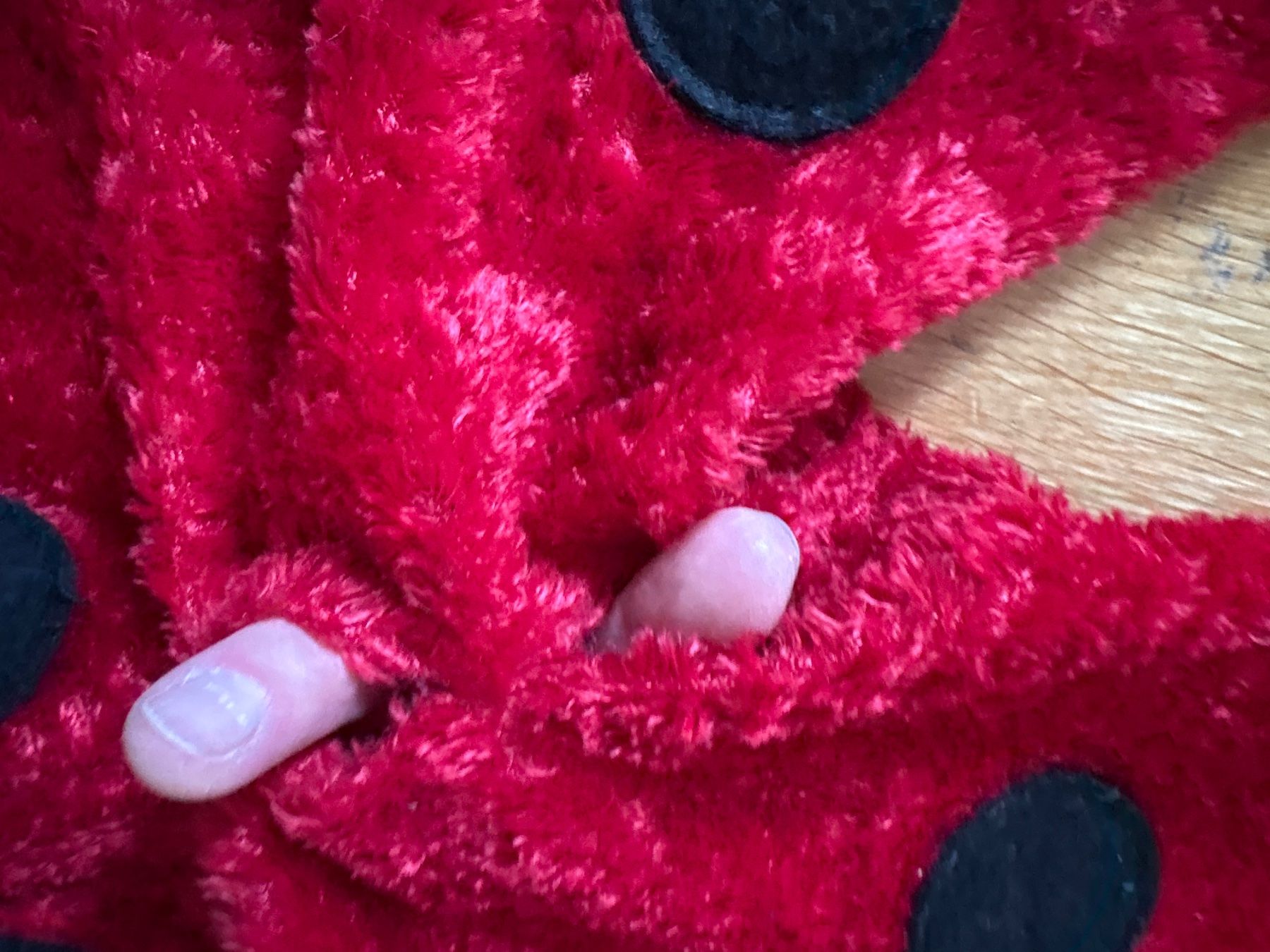 Costumi: Marienkäferkostüm – Usato da Zürich venduto da Fabienne059 2