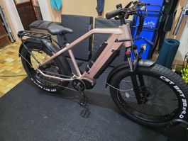 electric bike