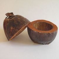 Noix de coco, bac à glaçons