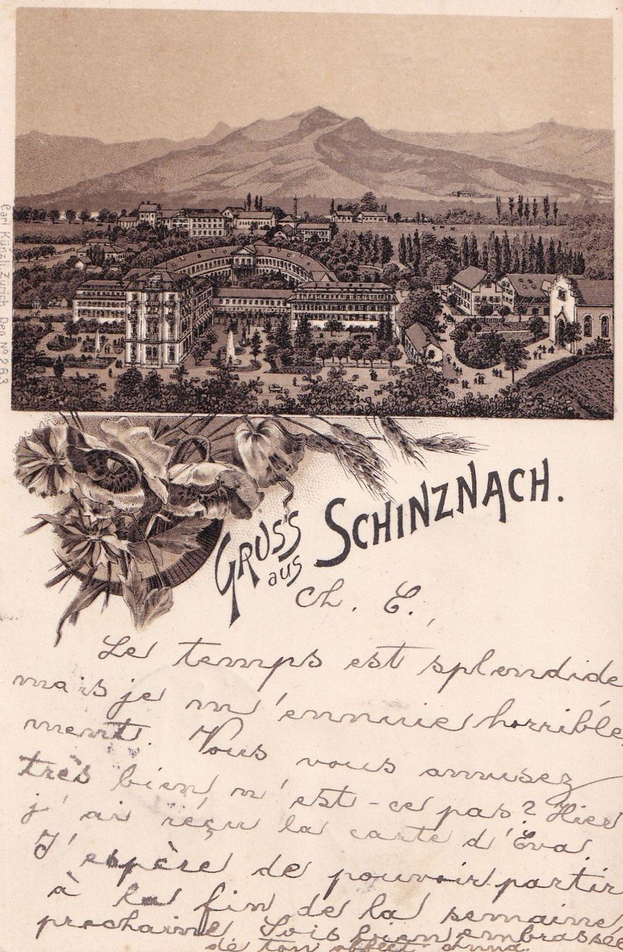 Cartes postales: Schinznach braune Lithografie 1897 – D'occasion à Olten par clotaldi
