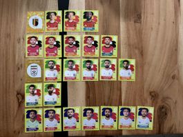 Panini WM 2026 Gruppe F