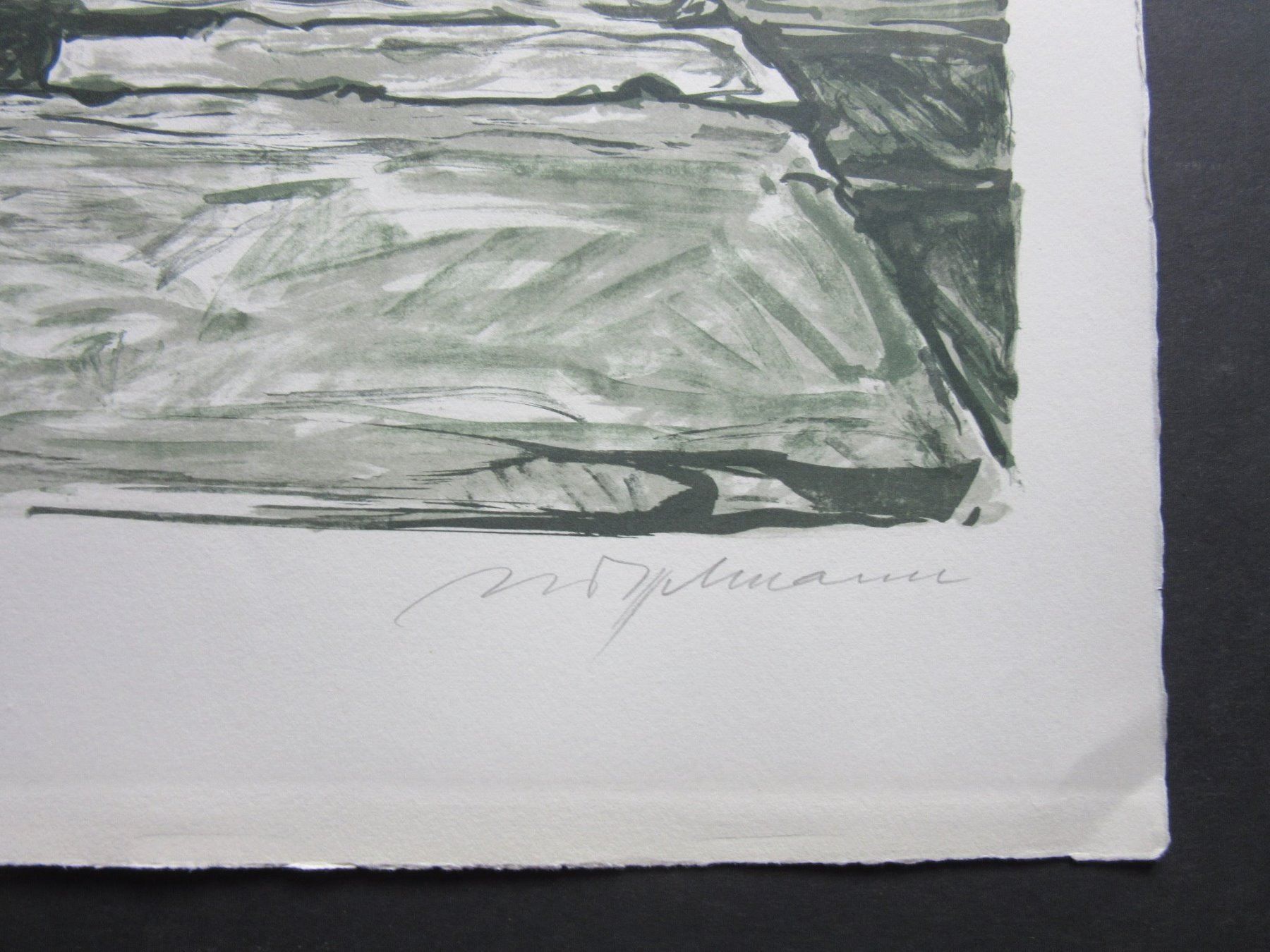 Grafica & Litografie: Diggelmann Alex Walter  LITHOGRAPHIE SIGNIERT – Usato da Gersau venduto da grafik-kunst 2