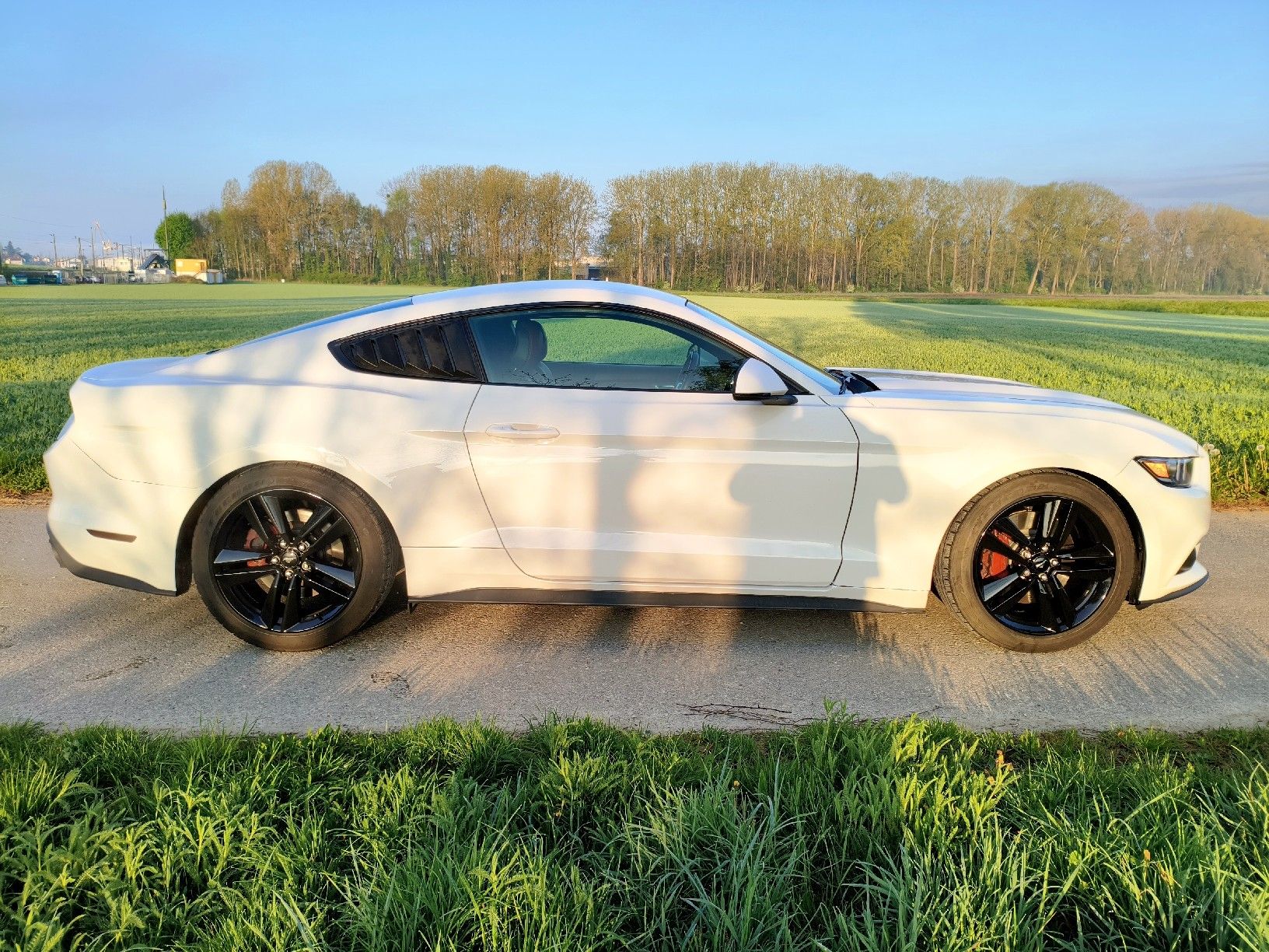 Ford Automobili: Ford Mustang Fastback – Usato da Dompierre FR venduto da F.Blanco 7