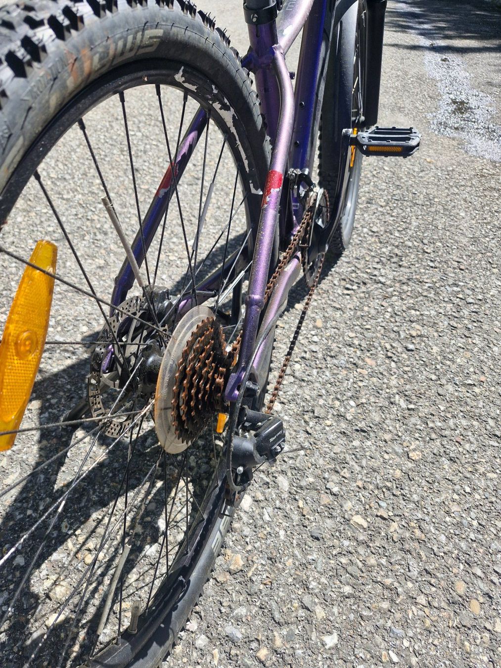 Trek Biciclette: Trek Bike – Usato da Muotathal venduto da DS81 2
