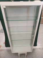 Grosse Glasvitrine mit Beleuchtung, abschliessbar!