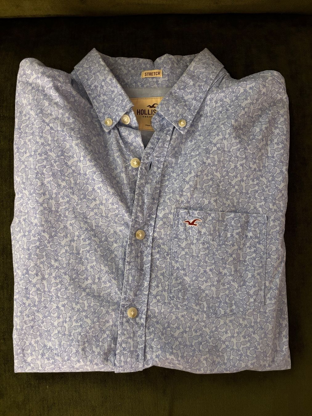 Hollister Hemden: Hollister Hemd, hellblau mit Ananas Muster, Grösse M – Neu (gemäss Beschreibung) aus Herrliberg von Tcardo 1