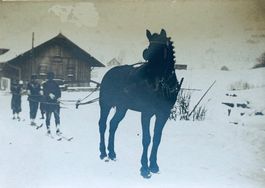 Privatfoto, 1920er  - Davos, Skijöring, Wintersport