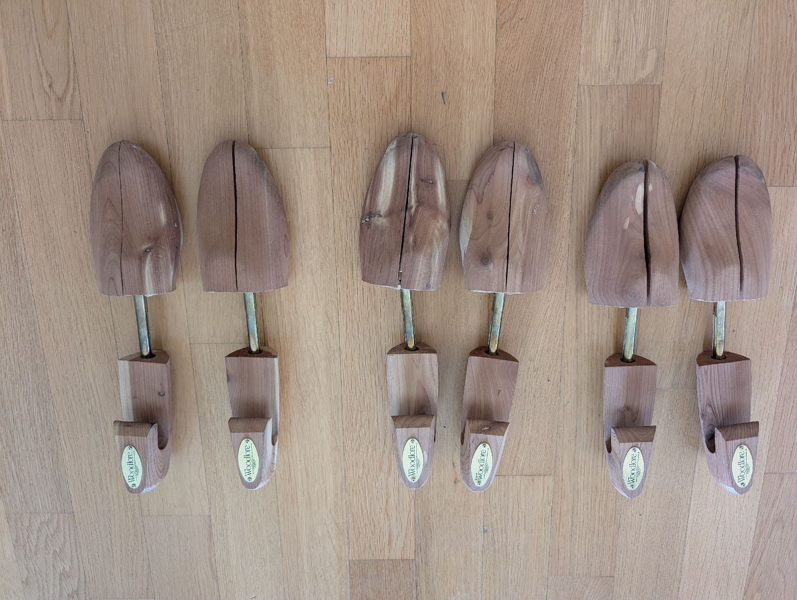 Chaussures hommes: Schuhspanner Woodlore – D'occasion à Zürich par pat_c76p
