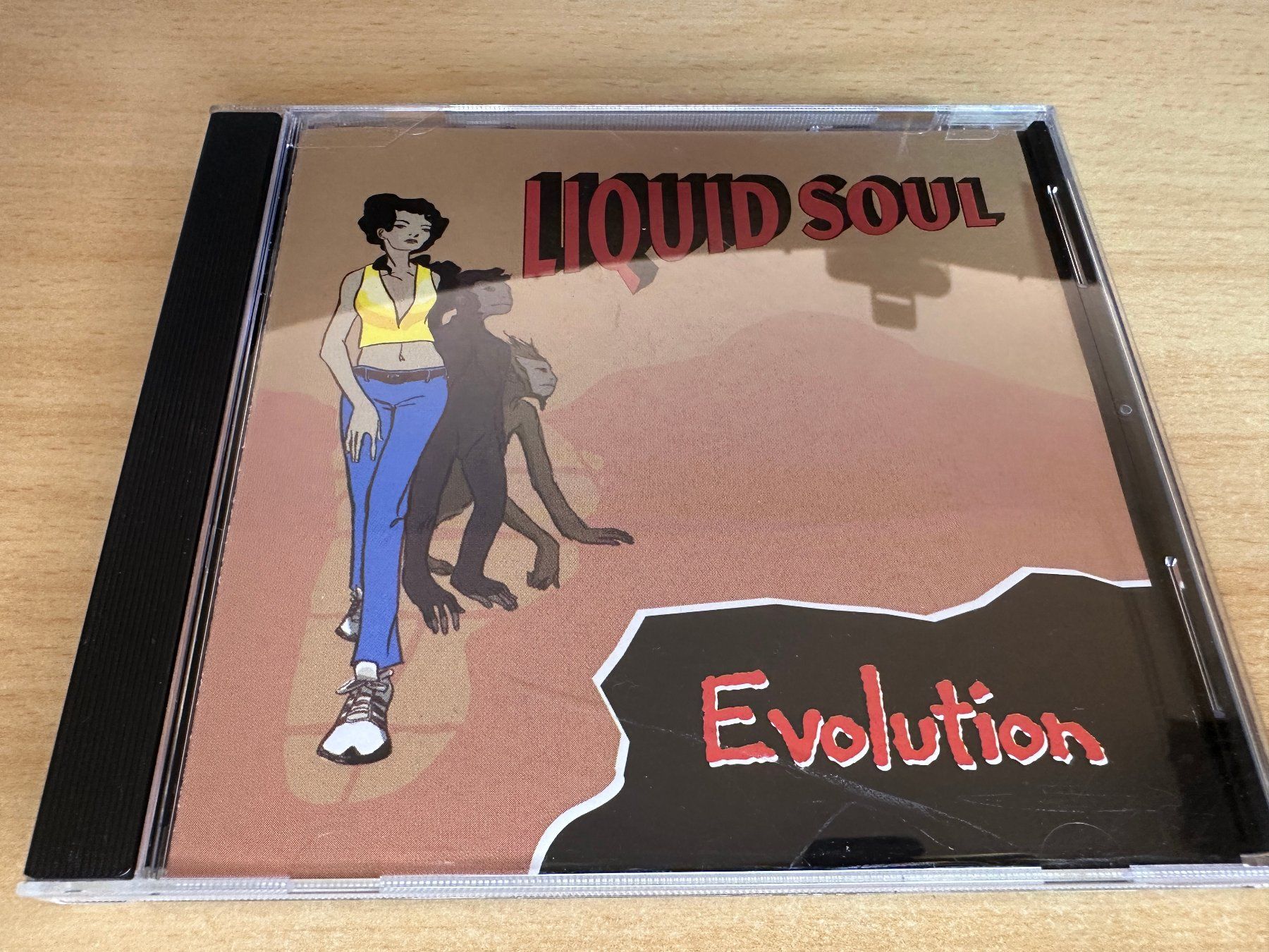 CD: Liquid Soul – Evolution – Usato da Rikon im Tösstal venduto da Alpenmutz