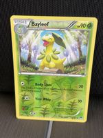 Bayleef 2/122 reverse Breakpoint