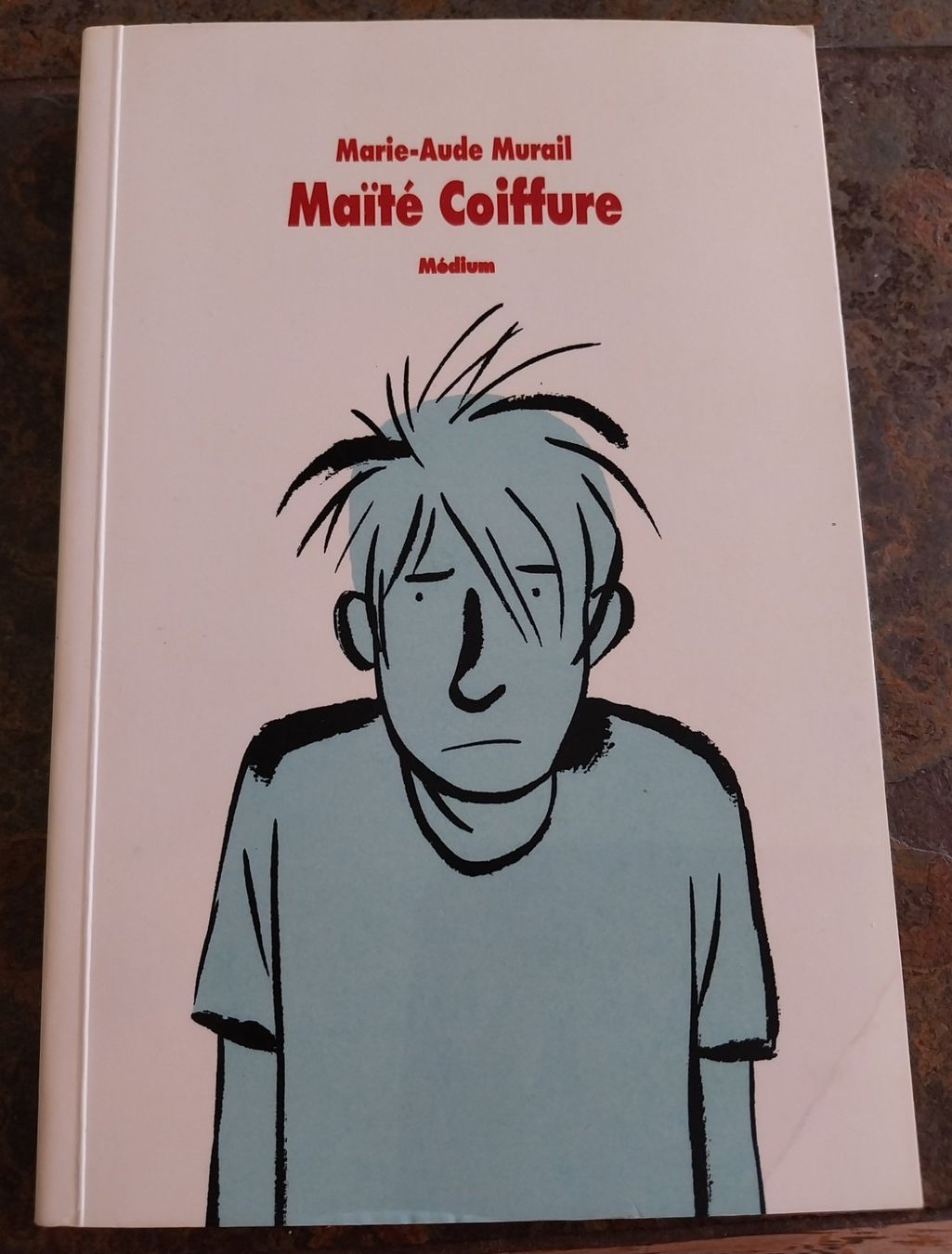 Livres: Maïté Coiffure Marie-Aude Murail – D'occasion à Rolle par lst_95p5