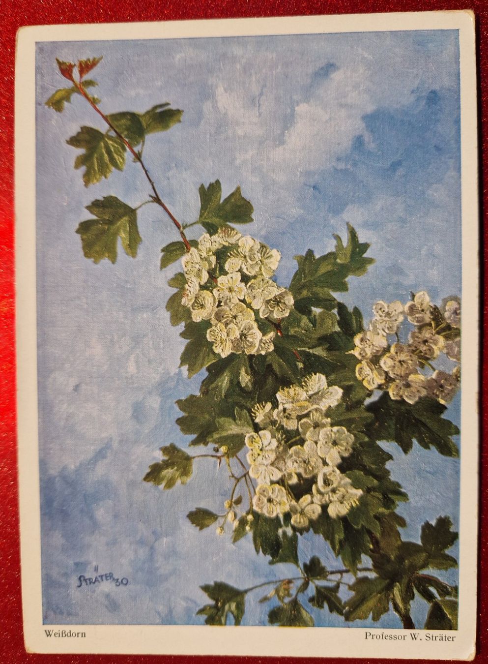 Ansichtskarten: Weissdorn sehr  alt/Vintage – Gebraucht aus Melchnau von Fishel