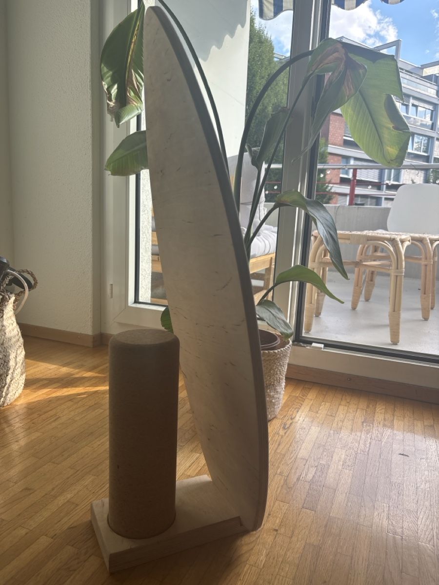 Hometrainer: Balance Board aus Holz – Usato da Luzern venduto da ema_7jmv