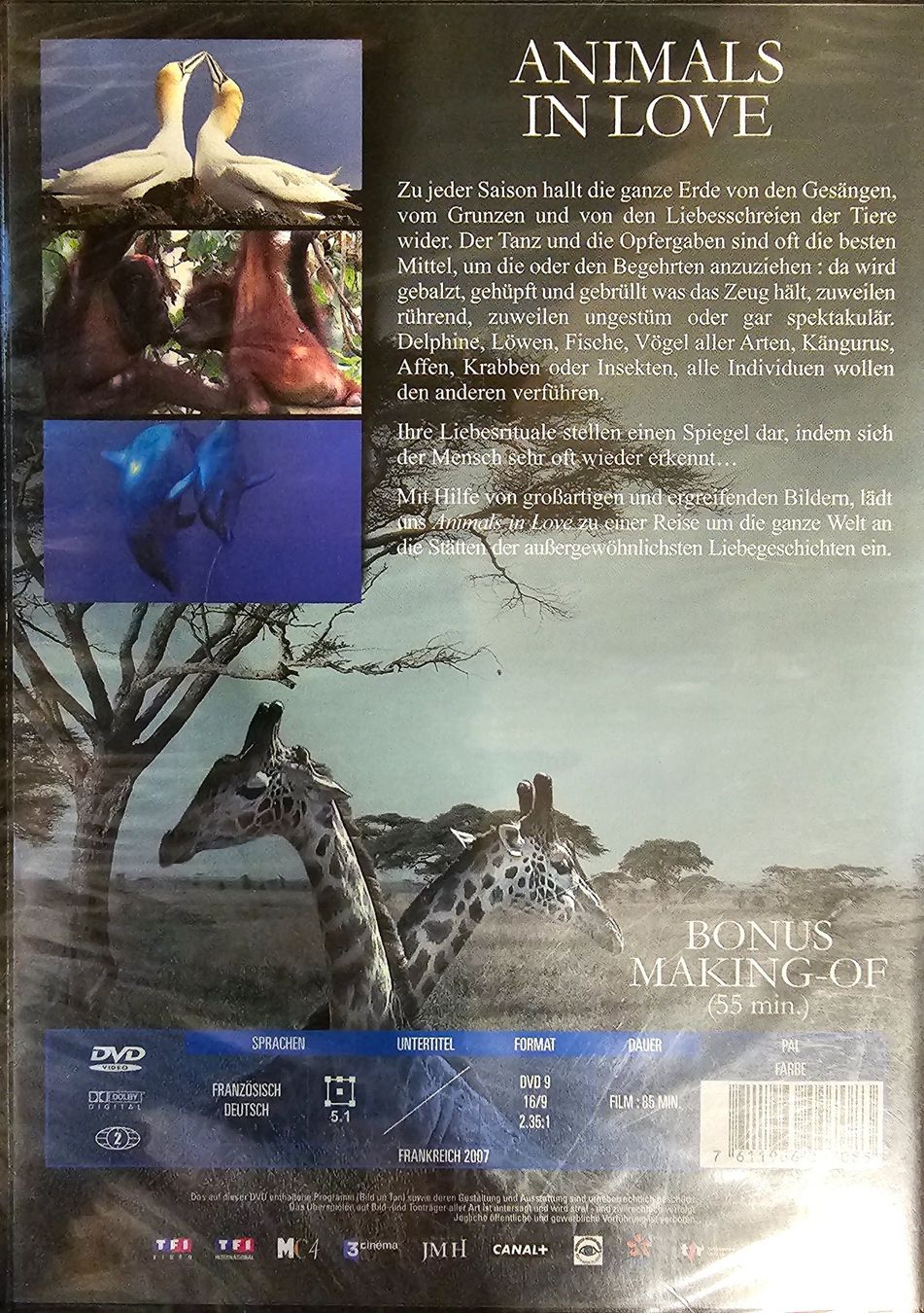 Tutti i DVDs: Animals in Love – Nuovo e nell'imballaggio originale da Wahlen b. Laufen venduto da Cg10 1
