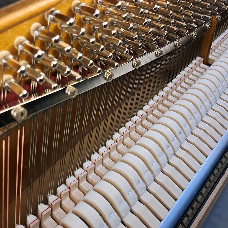 Musikinstrumente: Schulpiano 116 schwarz satiniert - Ausstellungsmodell – Neu (gemäss Beschreibung) aus Ittigen von KrompholzMusik 5