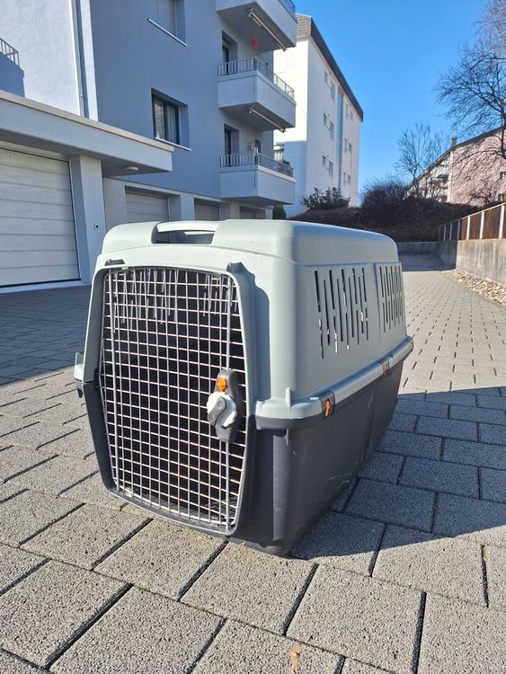 Grosse, stabile Transportbox für Hunde. (Gebraucht) in Stans für CHF 30 ...