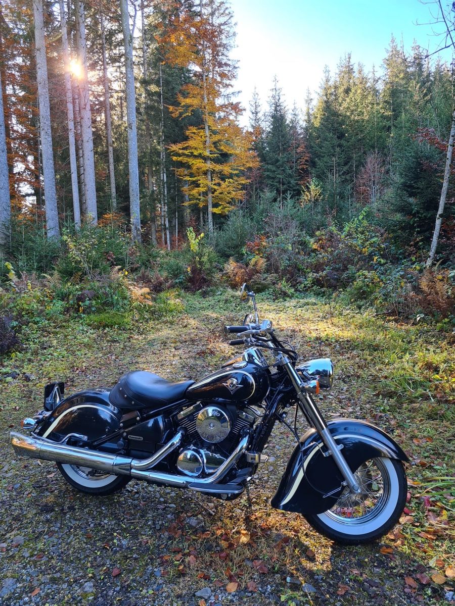 Kawasaki Chopper: Kawasaki VN 800 Drifter – Usato da Deitingen venduto da tma_88xc 1