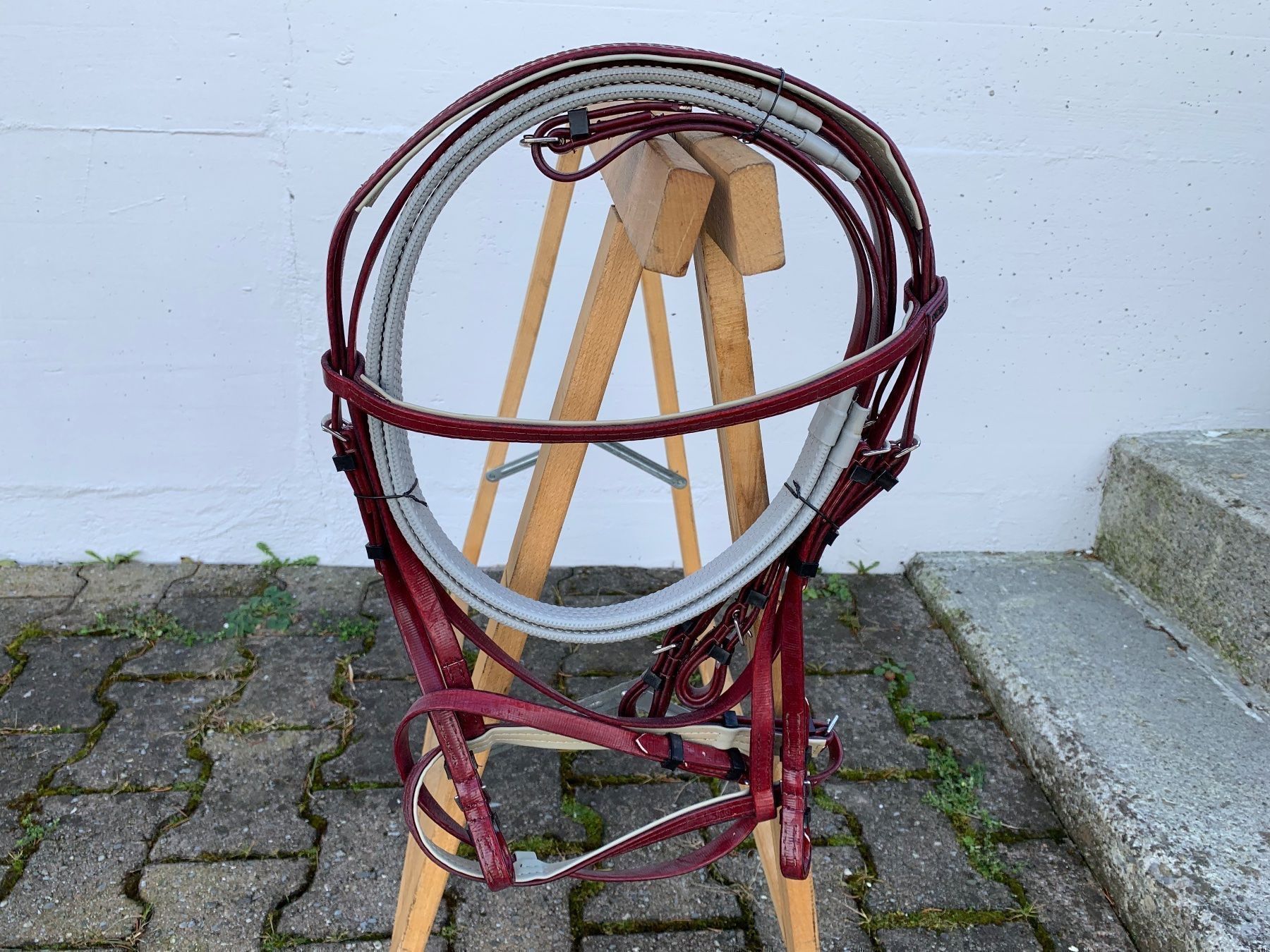 Selle & Accessori: schöner bordeauxroter Reitzaum – Usato da Feldbach venduto da Fea1 1