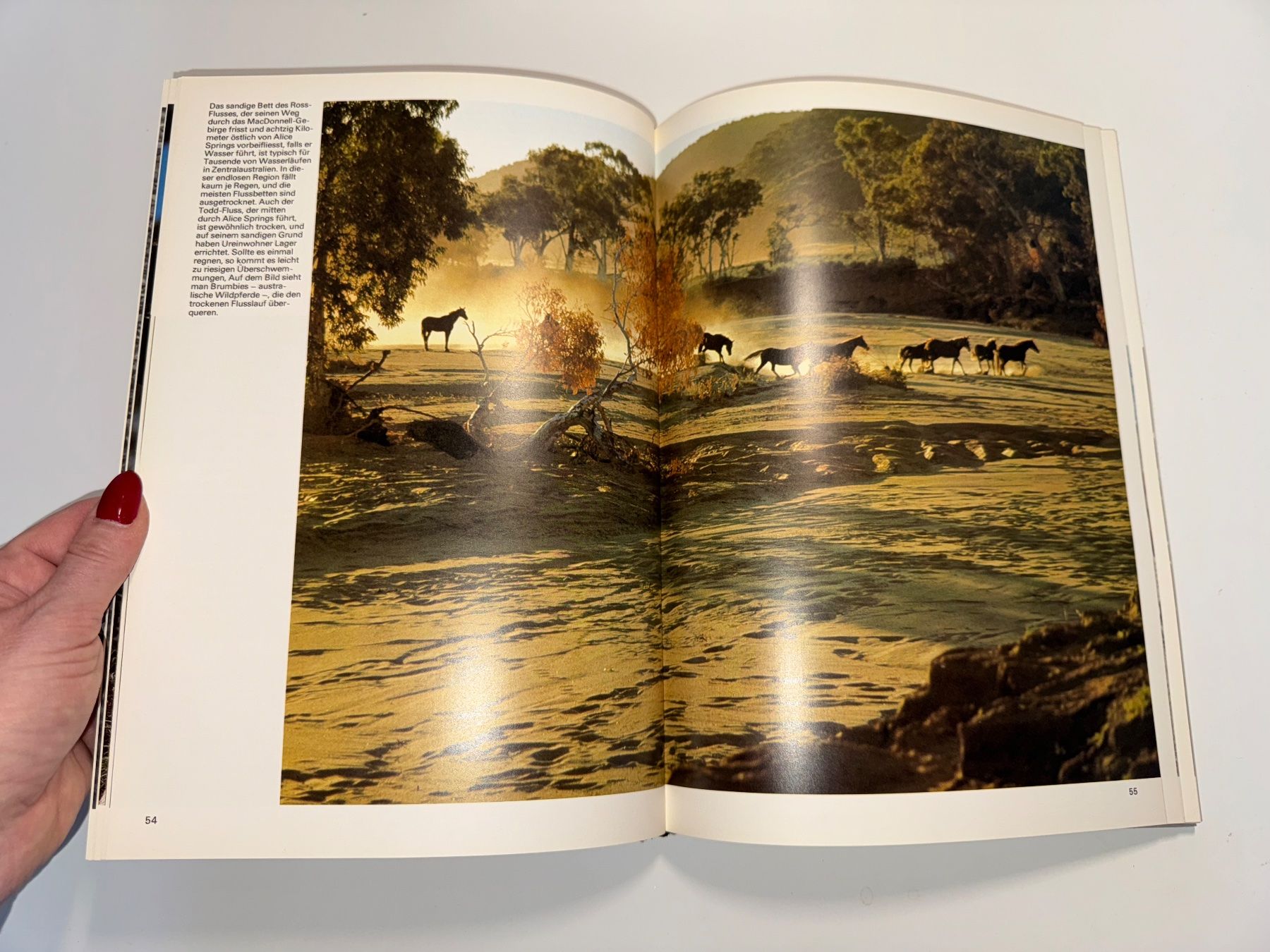 Libri: BUCH: Australien – Usato da Grosswangen venduto da Second_hand_paradise 6