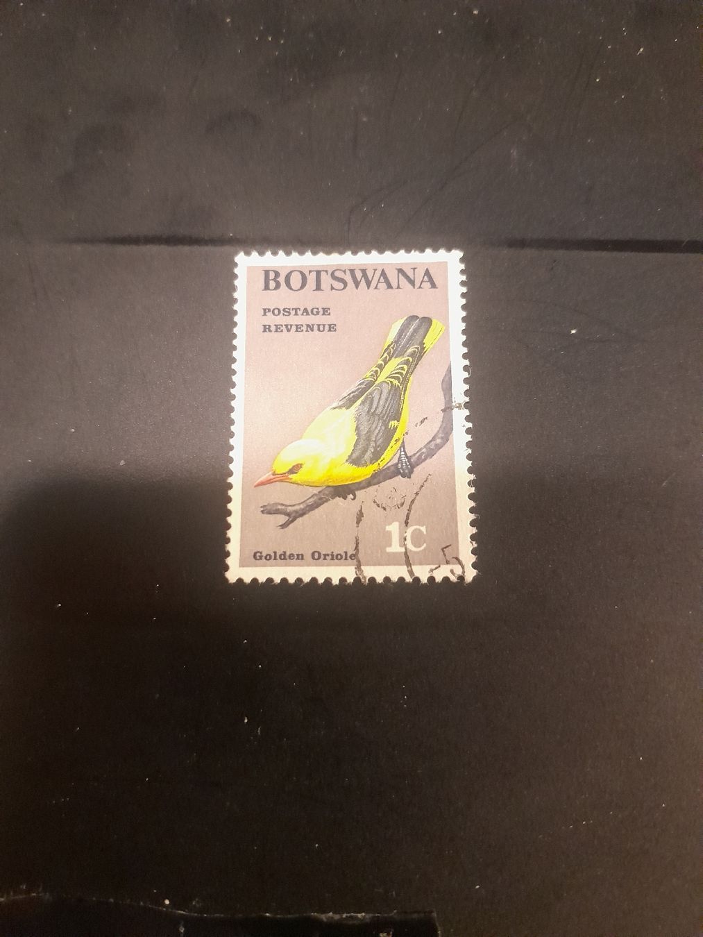 Tutti i francobolli: Timbre rare Botswana - Oriole doré - 1c - Superbe! – Usato da Marly venduto da globetrotter1723