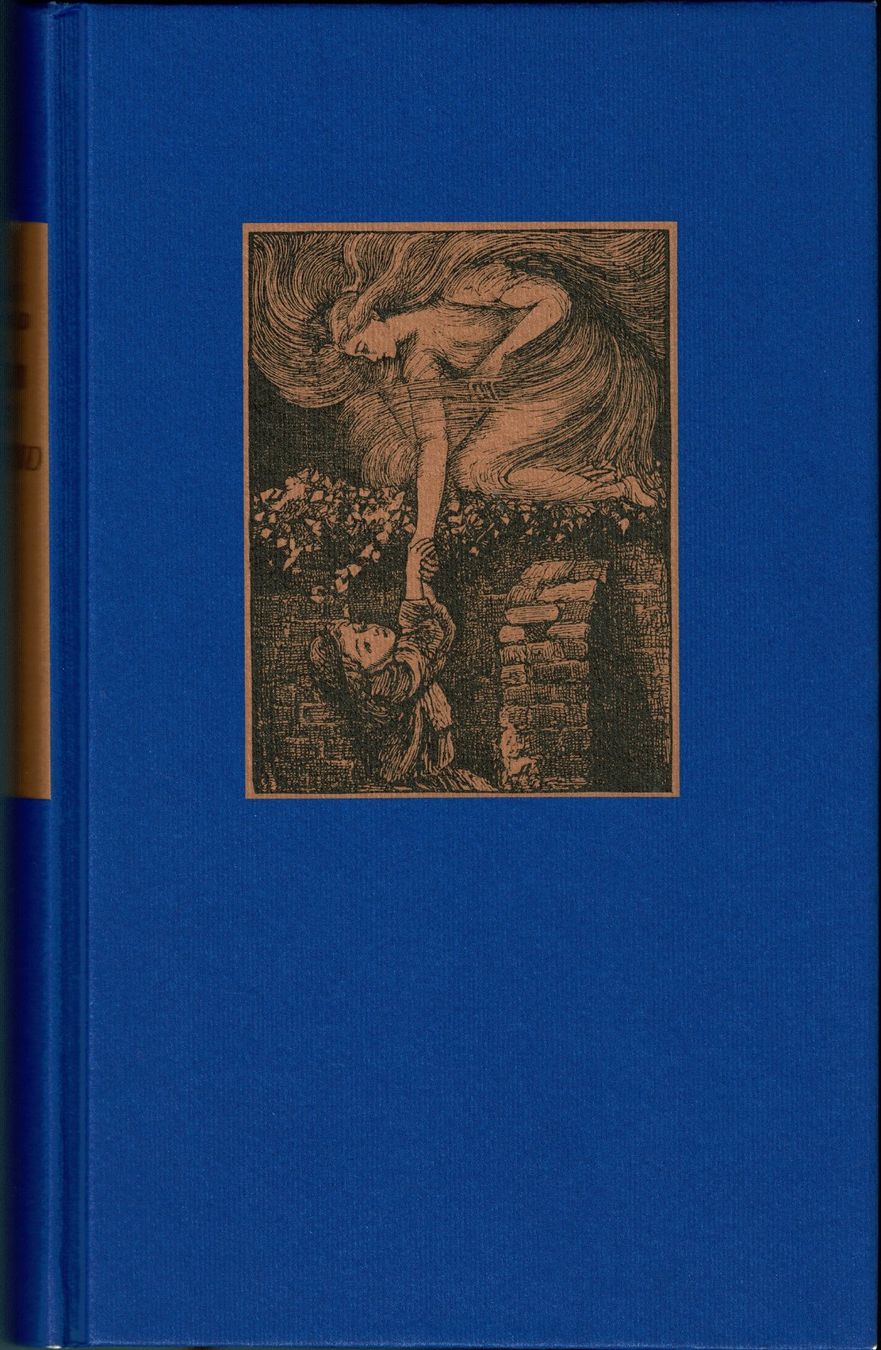 Libri: George MacDonald - Hinter dem Nordwind – Usato da Hinwil venduto da RomRay 2