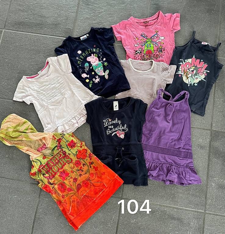 Camicette, T-shirt & Top: 10 T-Shirts Grösse 104 – Usato da Muri AG venduto da Scorpion84