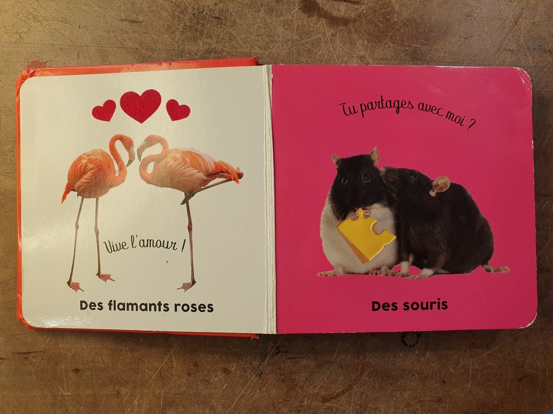 Libri: Bisous et calins – Usato da Zürich venduto da loosebone 1