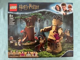 LEGO HARRY POTTER 75967