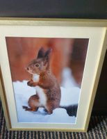 Eichhörnchen Bild Winter Weihnachten Geschenkidee Deko Ra...