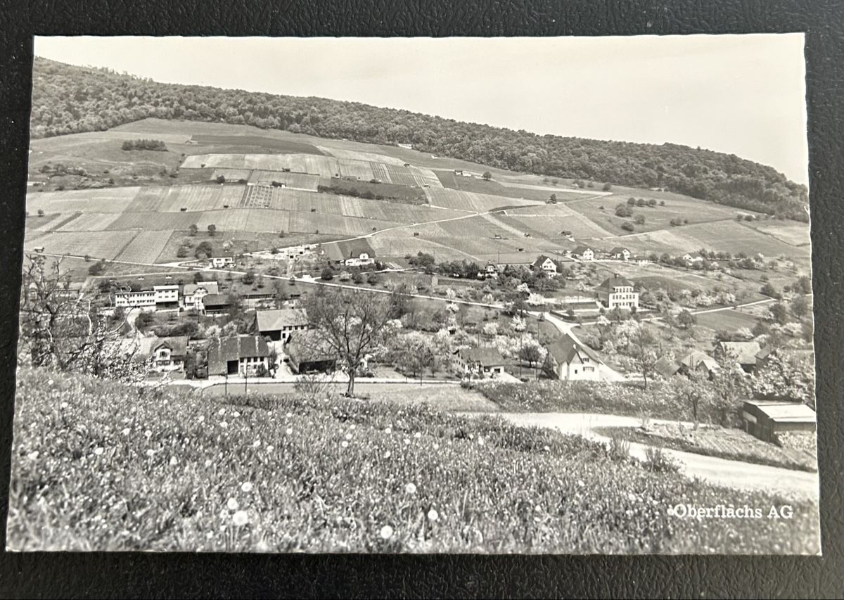 Cartoline postali: AK Oberflachs AG – Usato da Horw venduto da Tellbub