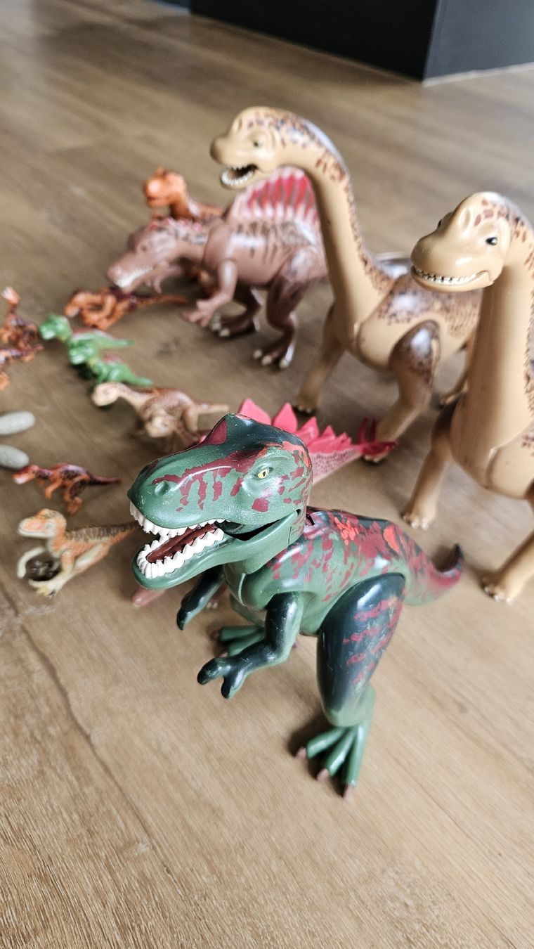 Playmobil Giocattoli: Playmobil Dinosaurier Set diverse  – Usato da Rüti ZH venduto da Pacey0 2