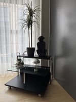 Möbel Eichler Design-Chrom Salontisch/ Regal / Sideboard