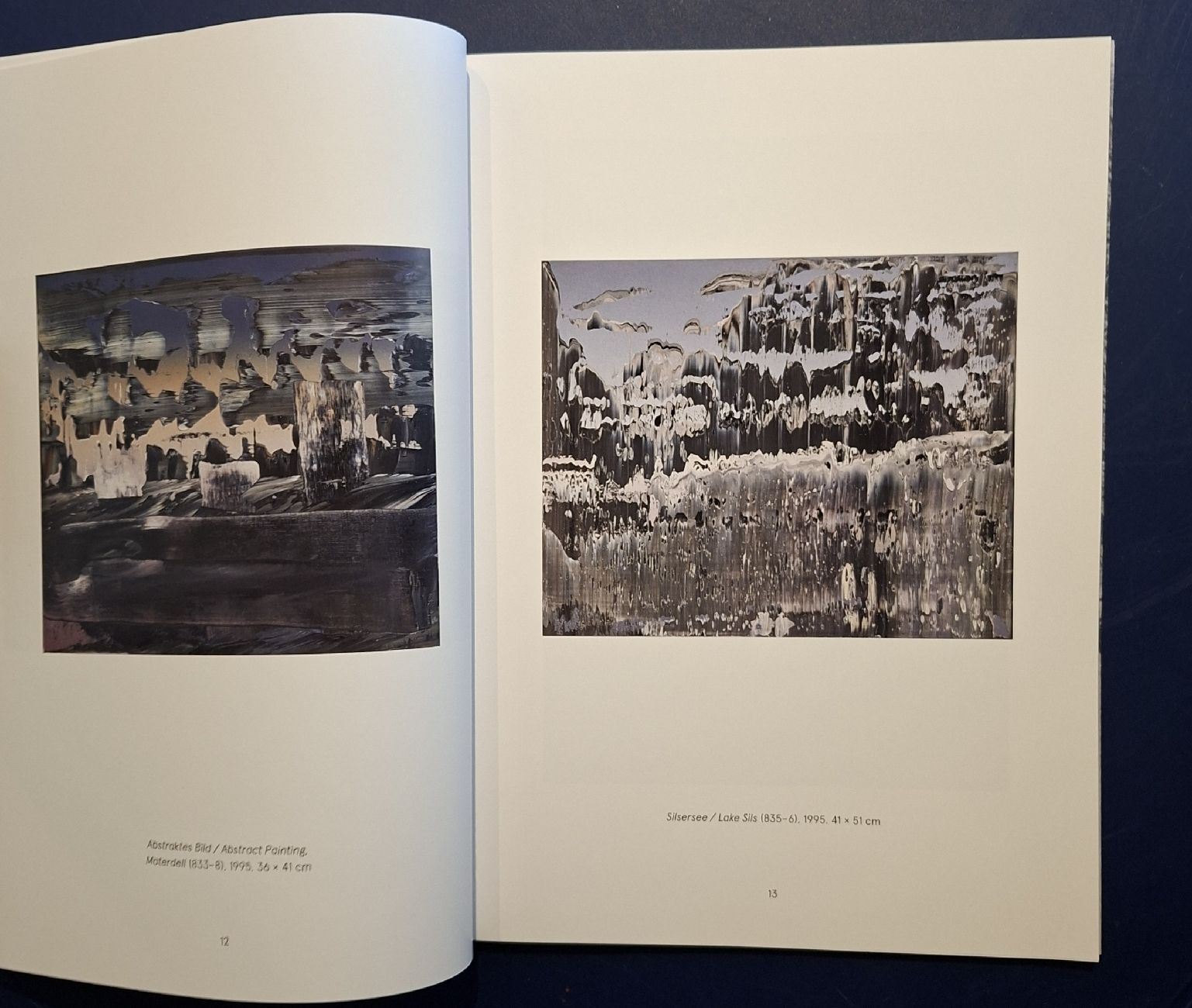 Libri: Gerhard Richter Engadin Buch mit Text Dieter Schwarz – Nuovo (secondo la descrizione) da Niederglatt ZH venduto da Siegfried67 3
