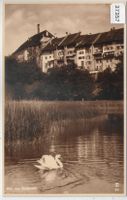 Wil SG - Am Stadtweiher mit Schwan