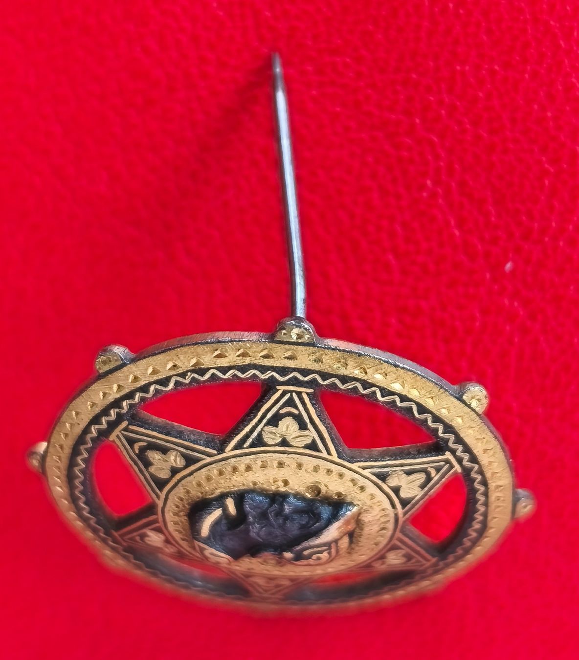 Placchette & Badge: Vereins- oder Festorden, historisches Abzeichen in Sternform – Usato da Zürich venduto da Tanteemma369 3
