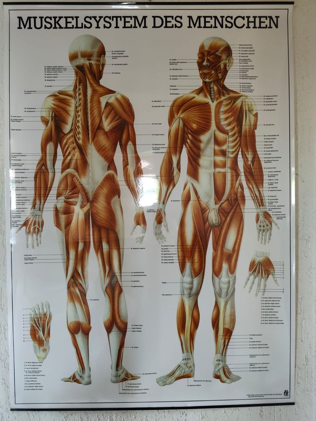Foto & Immagini: Plakate zum aufhängen 3er Set – Usato da Haag (Rheintal) venduto da sch_2zy9 1
