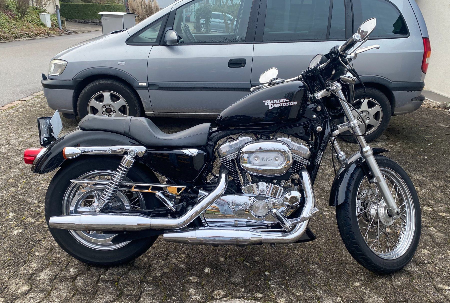 Altro: Harley Davidson XL883 – Usato da Wittenbach venduto da sha_zk9c 1