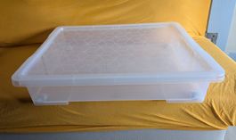 Rotho Unterbettbox mit Deckel und Rollen 79x59x17