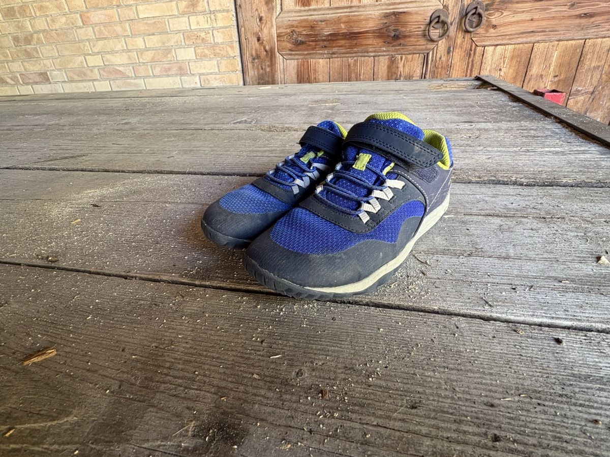 Merrell Scarpe da uomo: Merrell Trail glove Barfussschuh – Usato da Reinach AG venduto da musfrosch