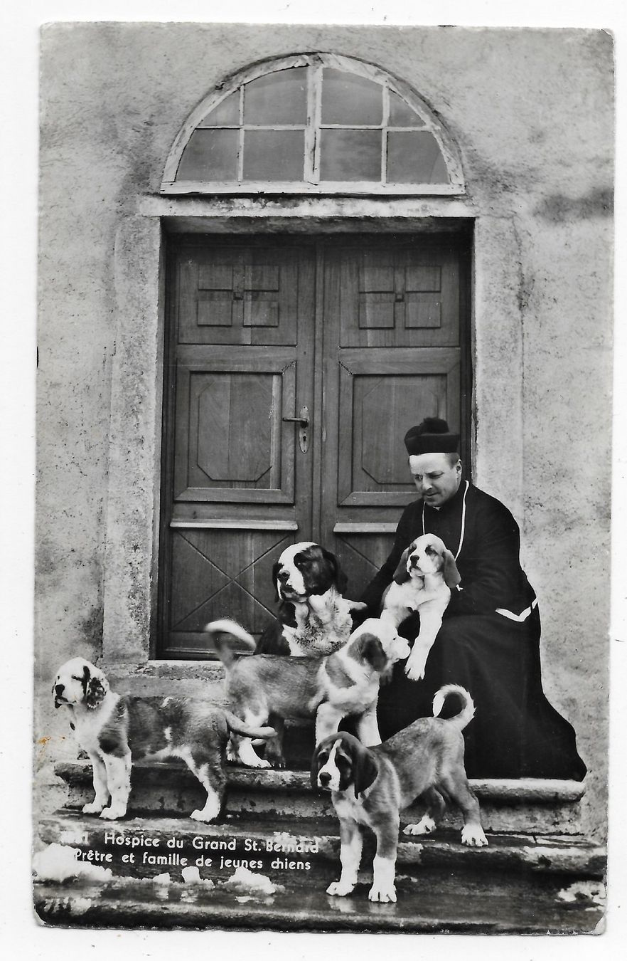 Cartoline postali: Hospice du Grand St. Bernard – Usato da Hefenhofen venduto da Richsalz