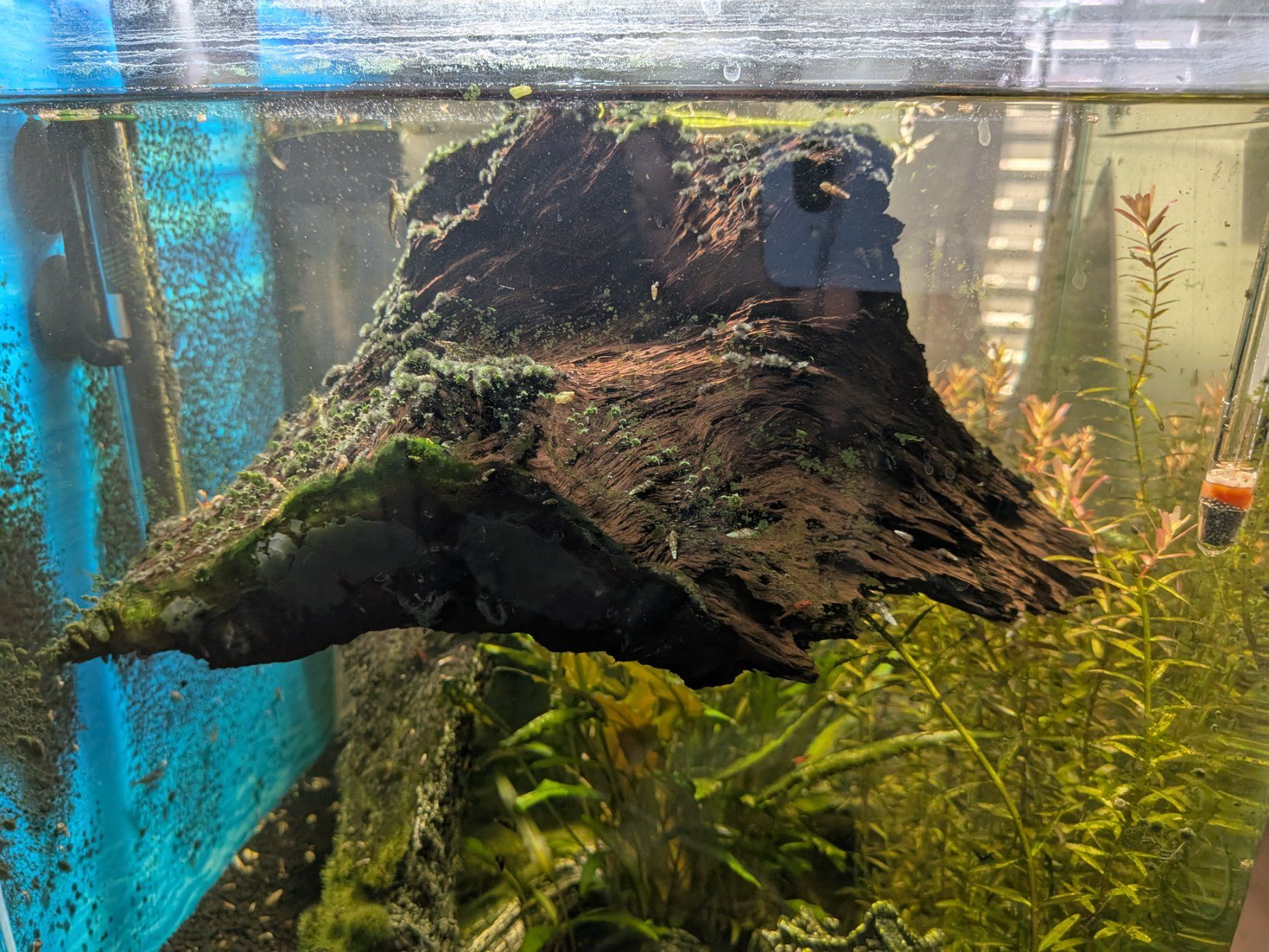 Dennerle Aquarium: Dennerle Nano Cube 60 l – D'occasion à Wolfhausen par Votec_2109 2