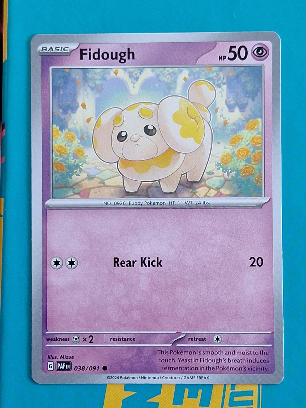Pokémon Carte collezionabili: Fidough - Pokemon Paldean Fates – Usato da Altstätten SG venduto da GGsGameshop