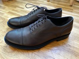 Tods Mens Derby Shoe Brown Size 9.5/44 NEW