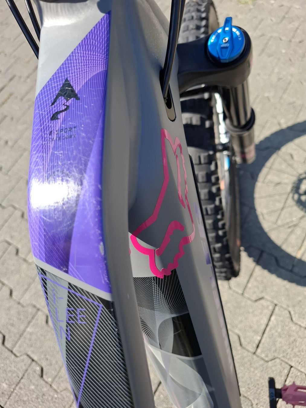 Wheeler Velos: Wheeler E-Bike – Gebraucht aus Dottikon von Isa-hena 3