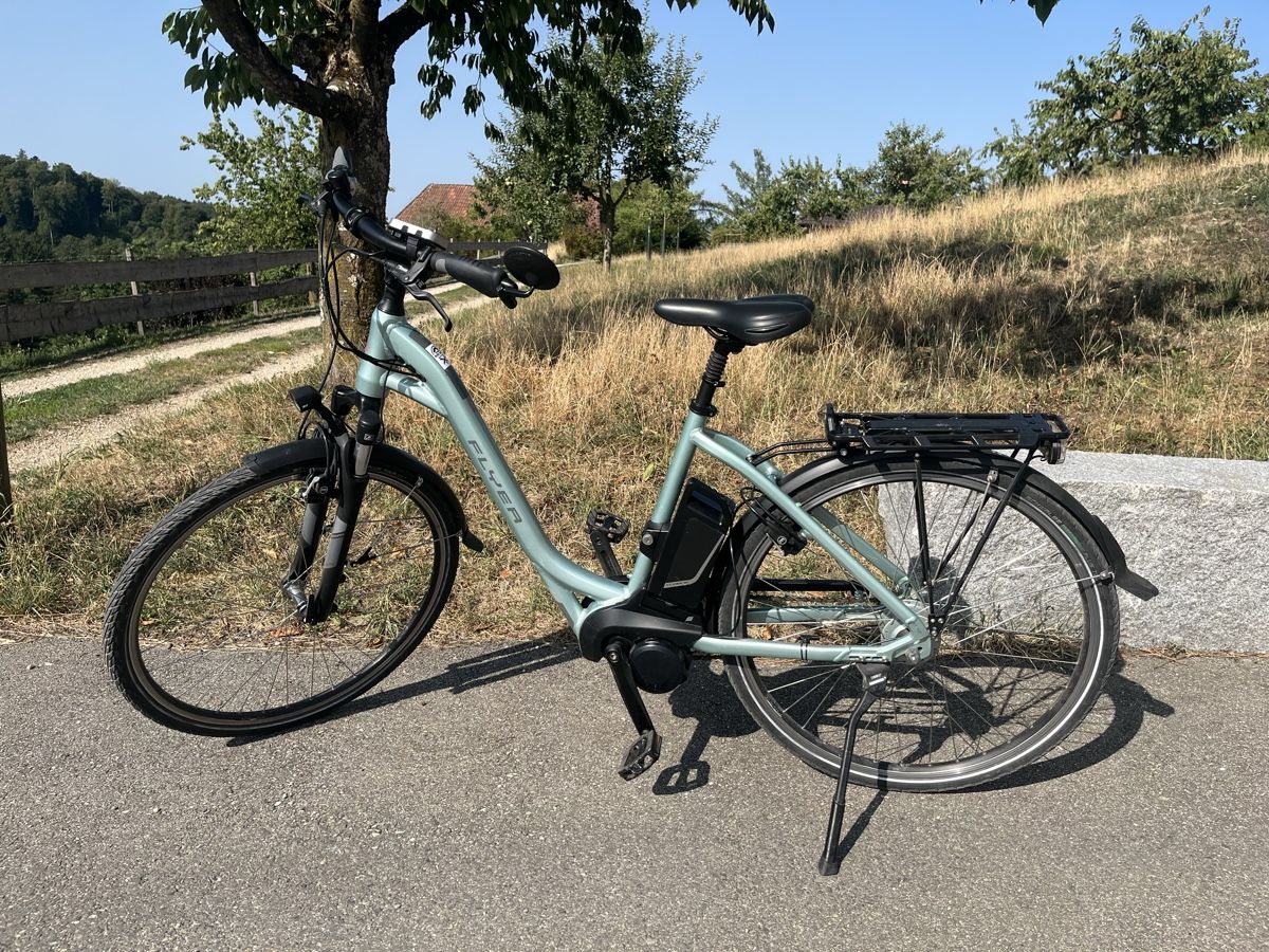 Flyer Biciclette: Flyer E-Bike T-Serie – Usato da Rüedisbach venduto da aeduu 5