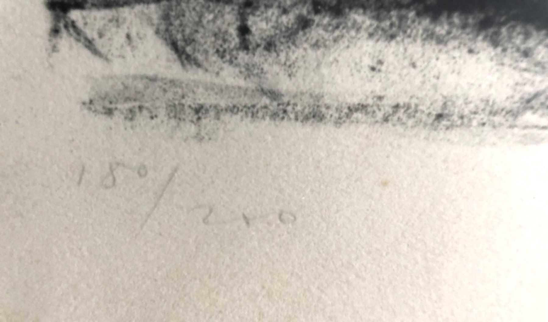Grafica & Litografie: Max Truninger (1910-1986) - Lithografie – Usato da Schaffhausen venduto da durruti 2
