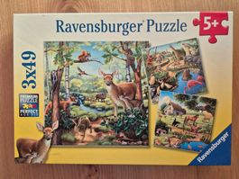 Ravensburger Puzzle 3x49 5+ - Tiere
