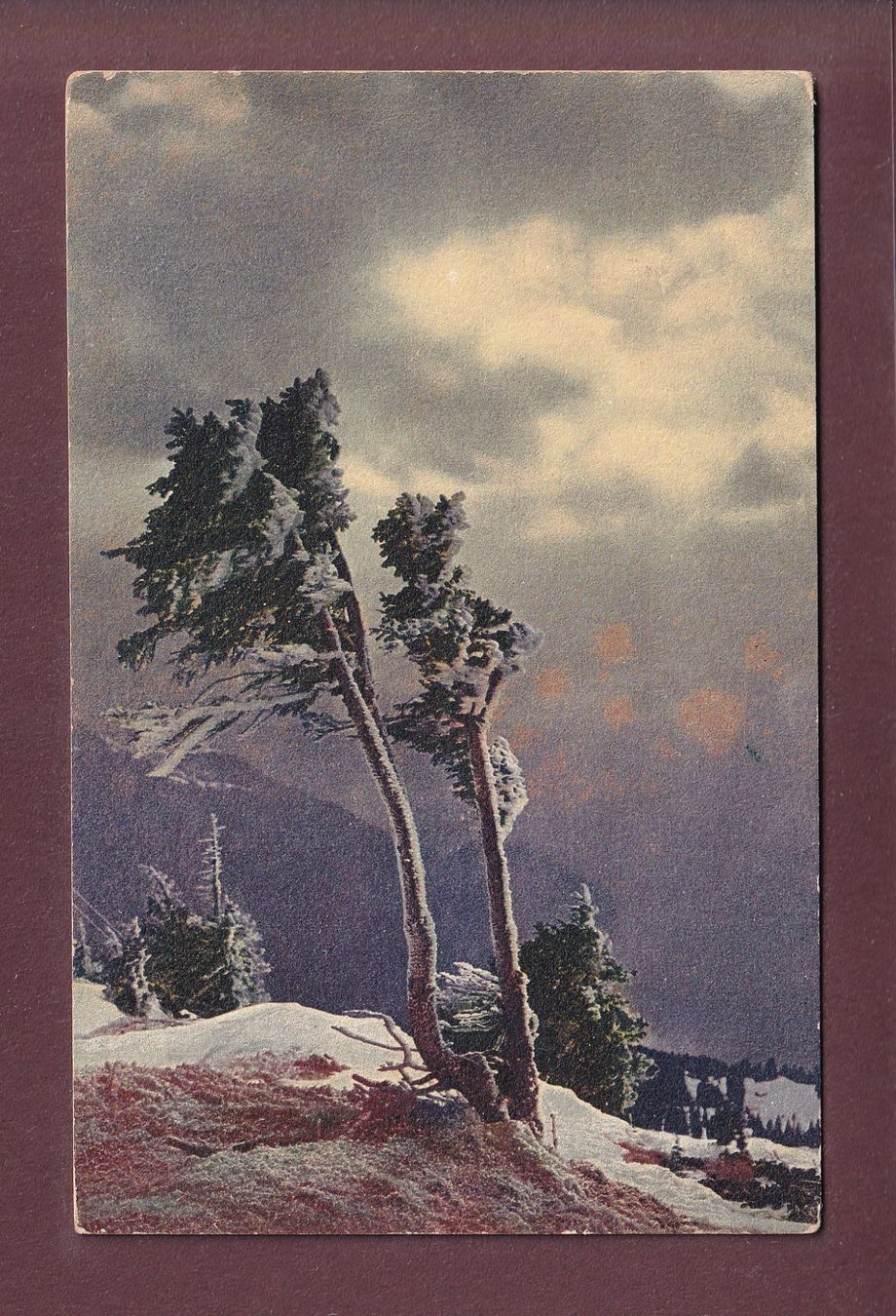 Ansichtskarten: Am RIGI - 1911 – Gebraucht aus Pully von nicecards